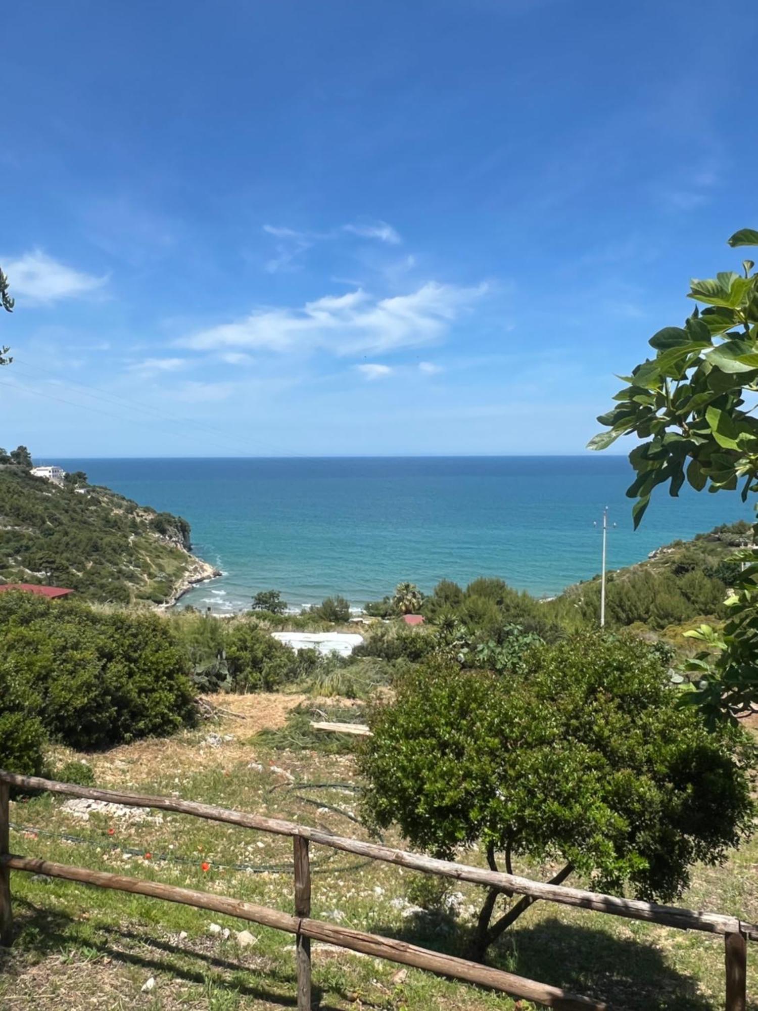 Ferienwohnung Trilocale 2 Sul Mare Peschici Exterior foto